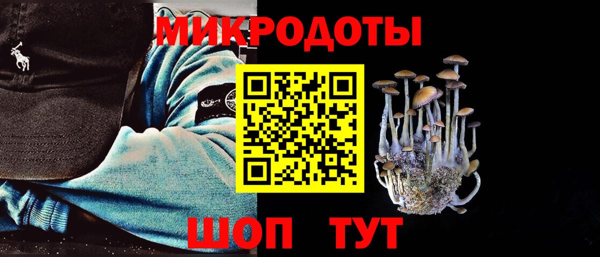Псилоцибиновые грибы Psilocybine cubensis  Вход с VPN  Сунжа 