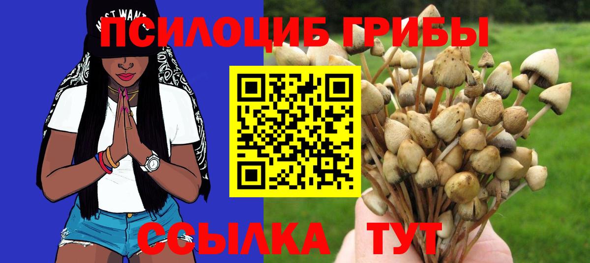 Галлюциногенные грибы мухоморы Сунжа